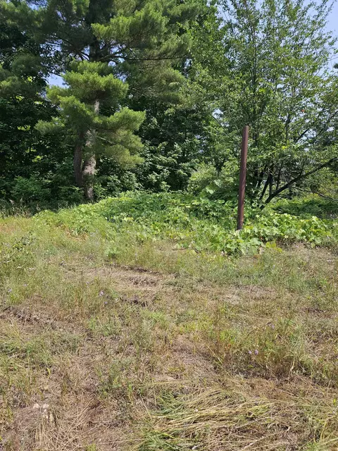 11268 Watson, Williamsburg, MI 49690 photo 12