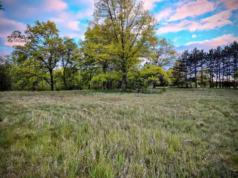 Cedar And 12th, Evart, MI 49631