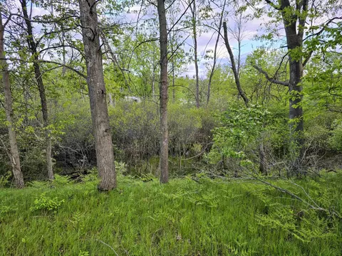 Cedar And 12th, Evart, MI 49631 photo 4