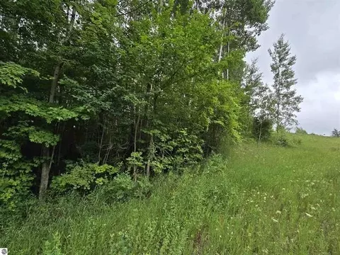 00 N 9, Mesick, MI 49668