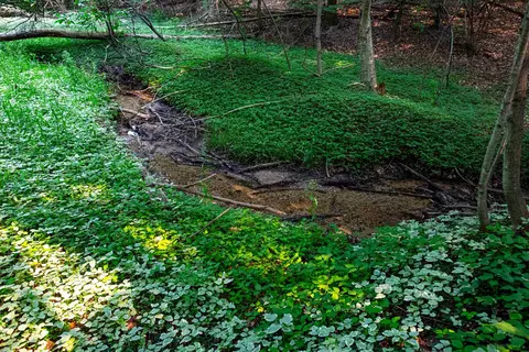 0000 Grandview, Traverse City, MI 49684