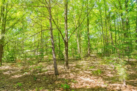 Parcel A Honor, Interlochen, MI 49643 photo 8