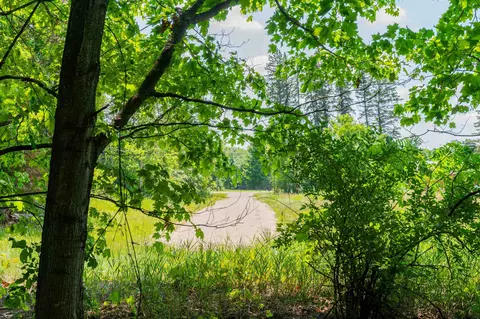 Parcel A Honor, Interlochen, MI 49643 photo 18