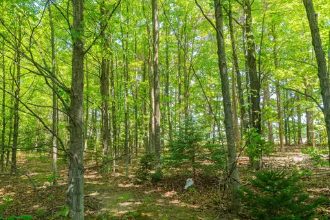 Parcel A Honor, Interlochen, MI 49643 photo 10