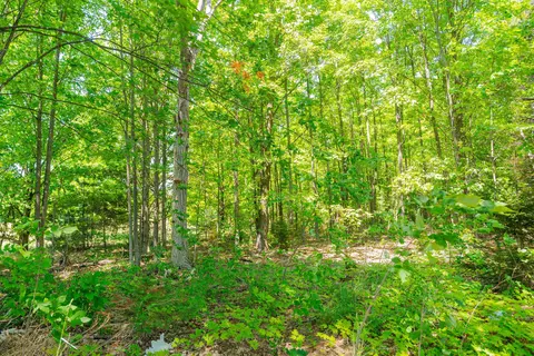 Parcel A Honor, Interlochen, MI 49643 photo 9