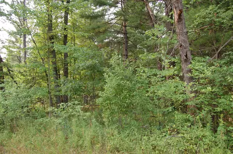 lot21 22 George #LOT : 21-22, Prescott, MI 48756