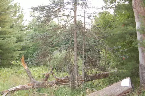 lot9 Dorothy #LOT : 9, Prescott, MI 48756