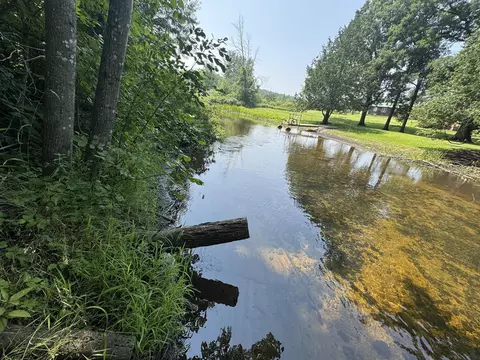 Vl Elm, Merritt, MI 49667