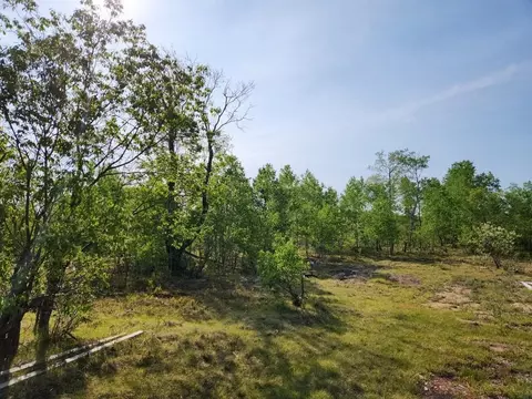 4935 Lindsey, Gaylord, MI 49735