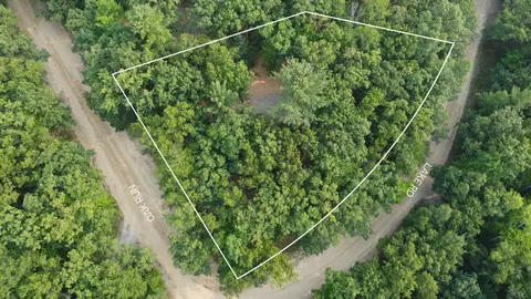 4681 Lake #LOT : 728, Farwell, MI 48622