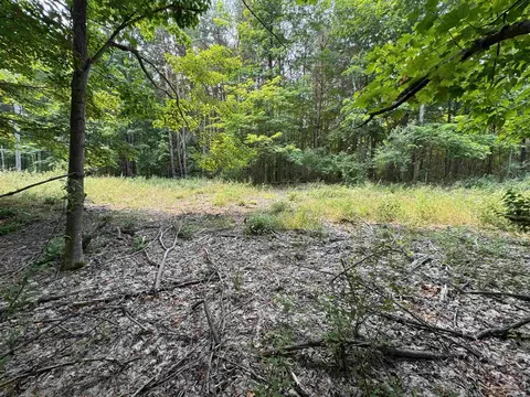 2 East Bellinger Road #E. HIGHLAND WOODS DRIVE, Cedar, MI 49621 photo 5