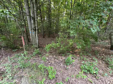 2 East Bellinger Road #E. HIGHLAND WOODS DRIVE, Cedar, MI 49621 photo 13