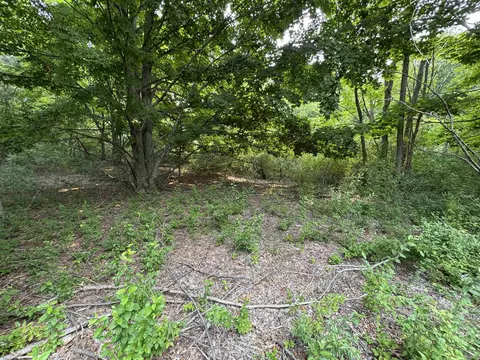2 East Bellinger Road #E. HIGHLAND WOODS DRIVE, Cedar, MI 49621 photo 8