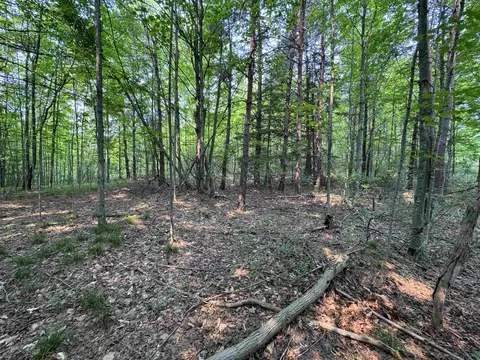 2 East Bellinger Road #E. HIGHLAND WOODS DRIVE, Cedar, MI 49621 photo 7