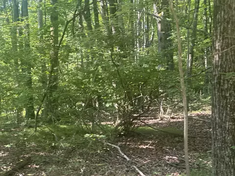 lot Apt 179 Mockingbird, Farwell, MI 48622