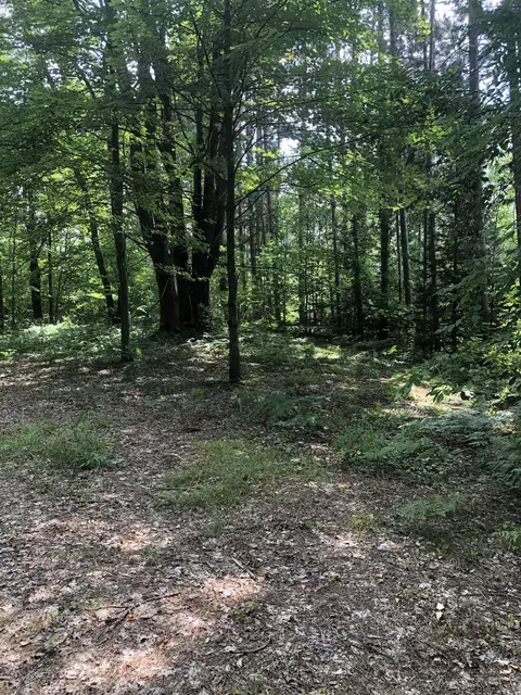 Holmes, Manton, MI 49663