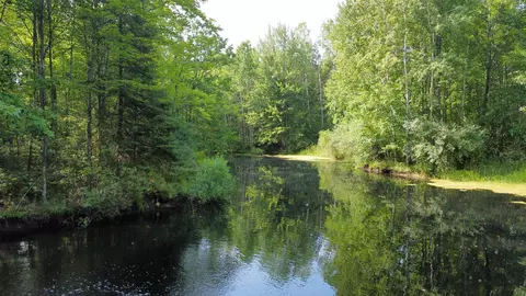 View/Area - 11167 E Arnold Lk, Gladwin, MI 48624 photo 2 of 5