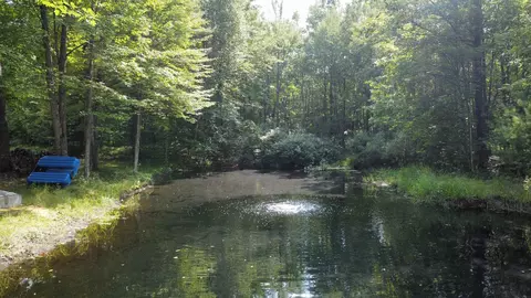 View/Area - 11167 E Arnold Lk, Gladwin, MI 48624 photo 3 of 5