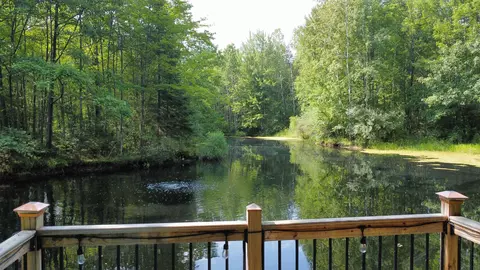 View/Area - 11167 E Arnold Lk, Gladwin, MI 48624 photo 1 of 5