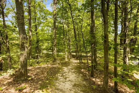 9267 E Grace, Cedar, MI 49621 photo 5