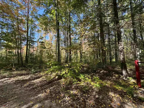 00 Cranberry Lk, Prescott, MI 48756
