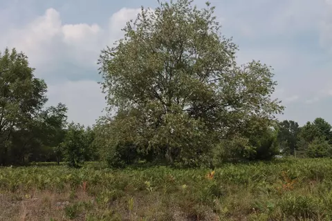 0 Country Acres, Interlochen, MI 49643