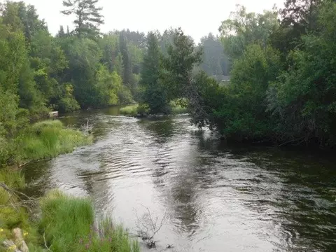View/Area - 1952 S Stephan Brg, Grayling, MI 49738 photo 9 of 9