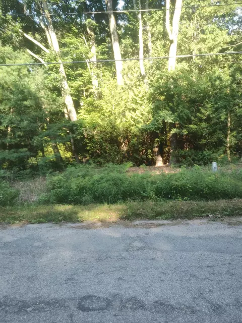 00 Woodlea #LOT : 749, Oscoda, MI 48750