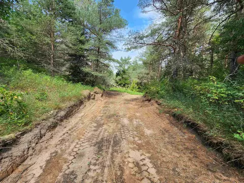 Parcel A E 18 1/2, Manton, MI 49663 photo 12