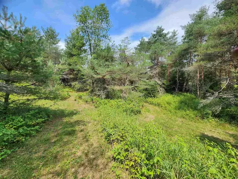 Parcel A E 18 1/2, Manton, MI 49663 photo 18