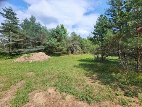 Parcel A E 18 1/2, Manton, MI 49663 photo 10