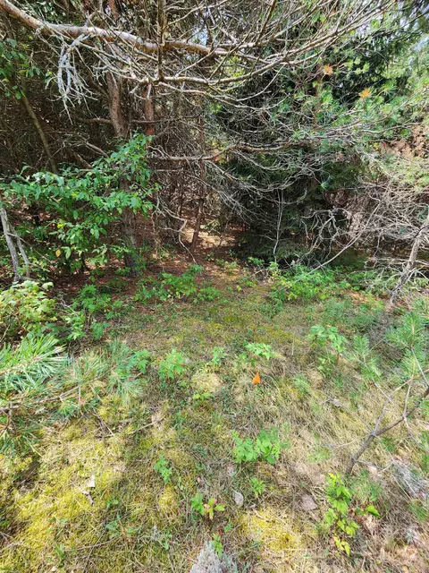 Parcel A E 18 1/2, Manton, MI 49663 photo 25