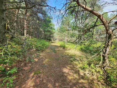 Parcel A E 18 1/2, Manton, MI 49663 photo 23