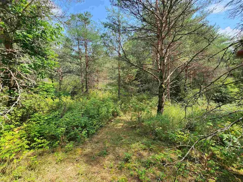 Parcel A E 18 1/2, Manton, MI 49663 photo 28