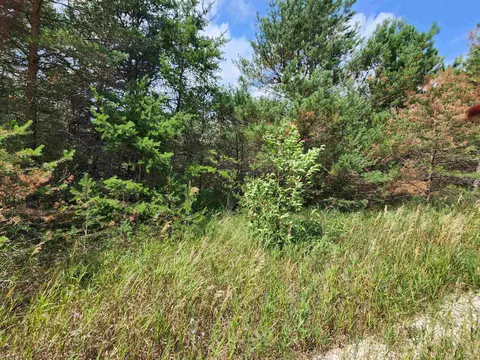 Parcel A E 18 1/2, Manton, MI 49663 photo 41