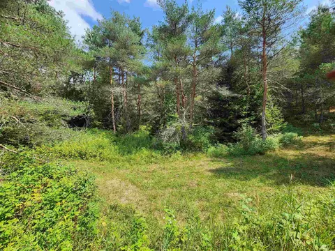 Parcel A E 18 1/2, Manton, MI 49663 photo 29