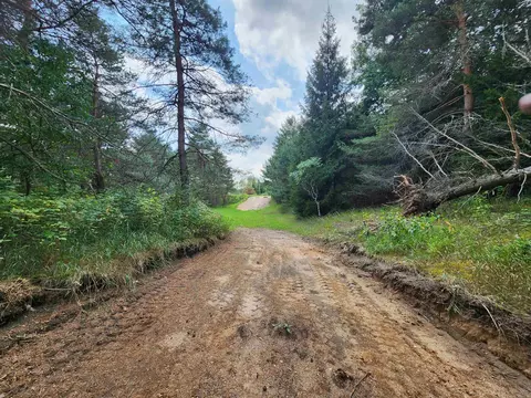 Parcel A E 18 1/2, Manton, MI 49663 photo 30