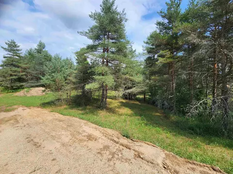 Parcel A E 18 1/2, Manton, MI 49663 photo 8