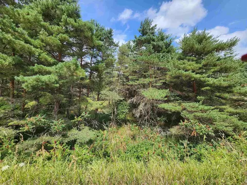 Parcel A E 18 1/2, Manton, MI 49663 photo 39