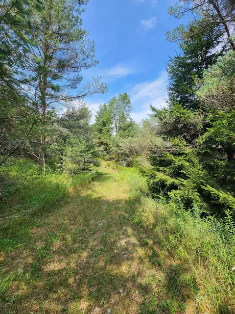 Parcel A E 18 1/2, Manton, MI 49663 photo 16
