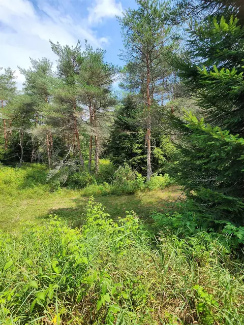 Parcel A E 18 1/2, Manton, MI 49663 photo 22