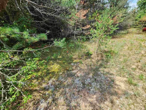 Parcel A E 18 1/2, Manton, MI 49663 photo 24