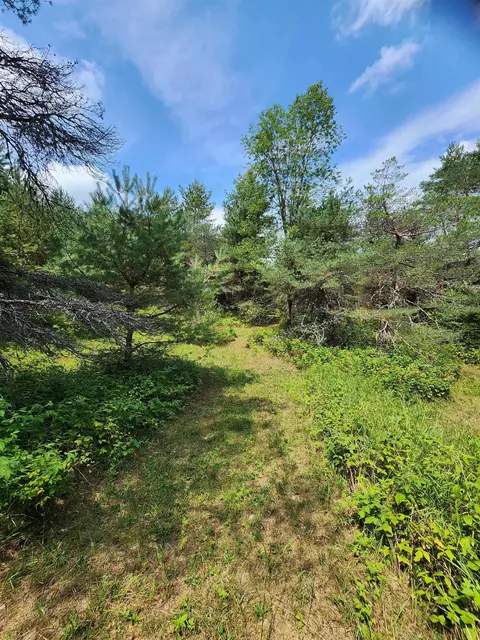 Parcel A E 18 1/2, Manton, MI 49663 photo 20