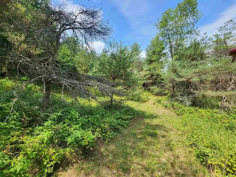 Parcel A E 18 1/2, Manton, MI 49663 photo 19