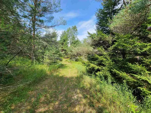 Parcel A E 18 1/2, Manton, MI 49663 photo 15