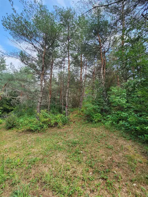 Parcel A E 18 1/2, Manton, MI 49663 photo 14