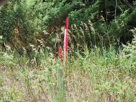 Parcel A E 18 1/2, Manton, MI 49663 photo 42