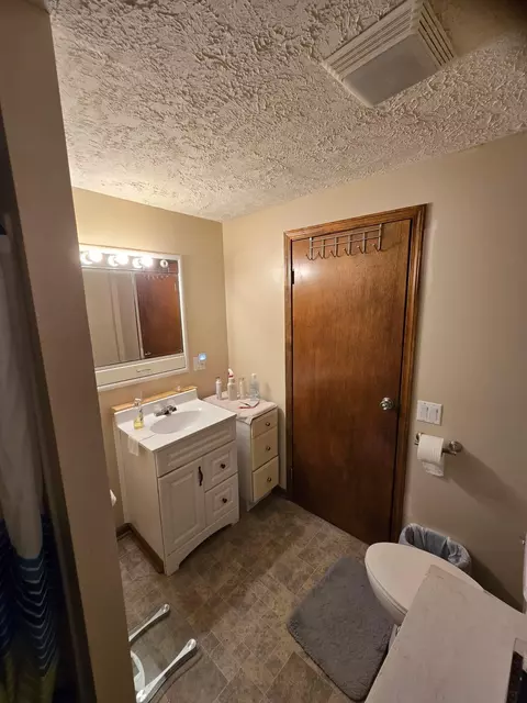 129 E Main #LOT : 8, Maple Rapids, MI 48853 photo 9