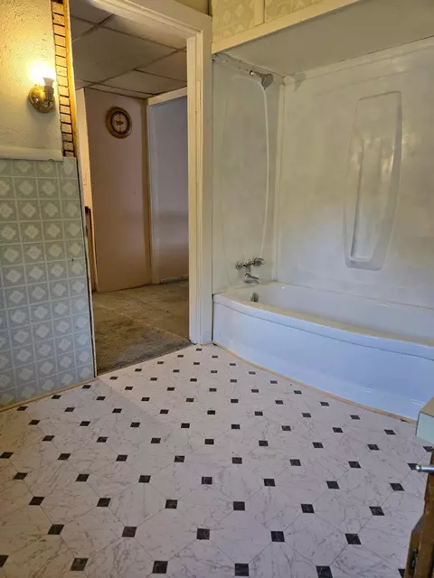 129 E Main #LOT : 8, Maple Rapids, MI 48853 photo 12