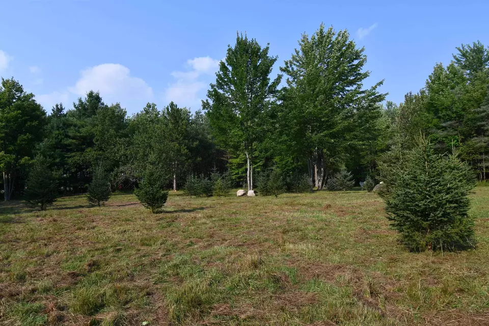  9537 Lakeview, Alanson, MI 49706 photo 32